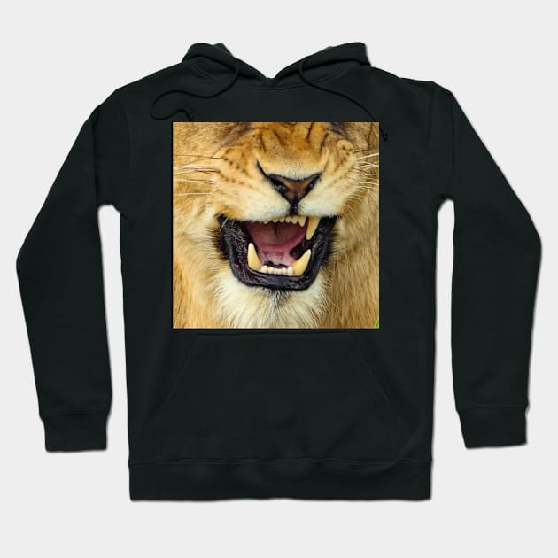 Roaring lioness Hoodie by ro83land